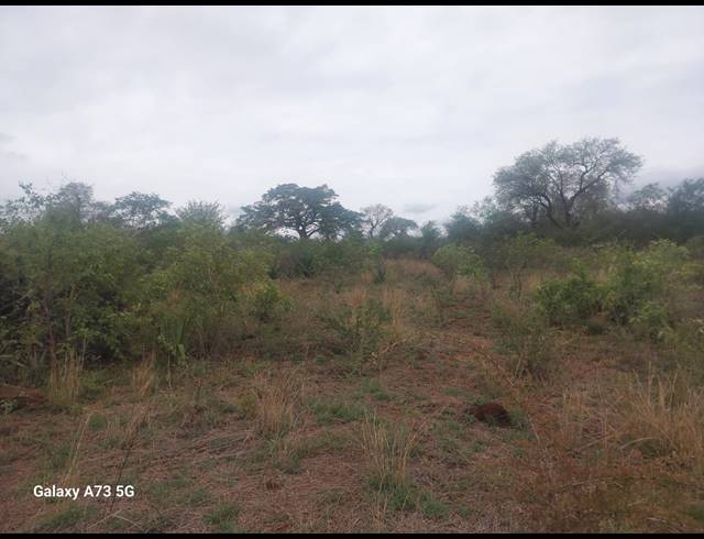 8,000M² VACANT LAND FOR SALE IN MUTOTI